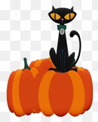 Halloween Cat Ghosts - Free Image On Pixabay Imágenes De Fantasmas O Calaveras Halloween Png,Halloween Cat Png