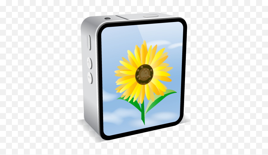Iphone 4 Black Sunflower Icon - Icon Png,Sunflower Icon