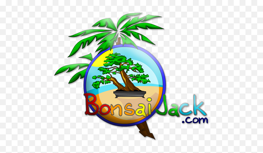 Succulent Soil U2013 Bonsai Jack - Language Png,Succulent Icon Transparent