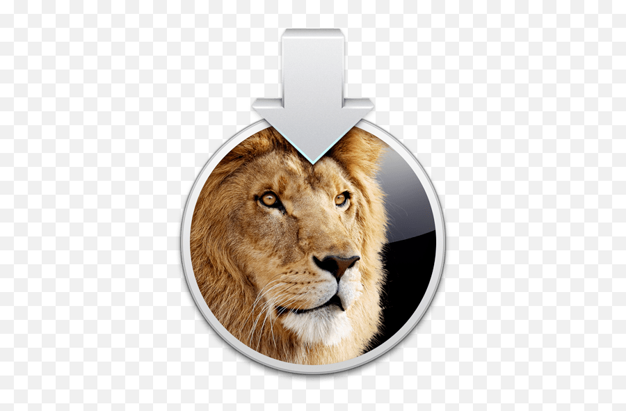 Apple Posts Os X Lion 1073 - Os X Lion Installer Png,Cute Apple Store Icon