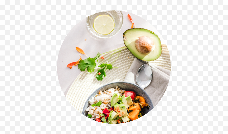 Dietitian - Ketogenic Diet Png,Dietitian Icon