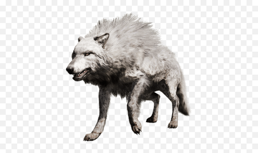 Can Tame It - Far Cry Primal Wolf Png,Far Cry Primal Icon