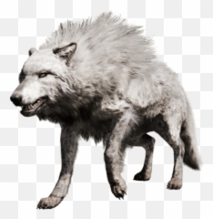 Can Tame It - Far Cry Primal Wolf Png
