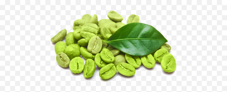 Green Coffee Beans Png 3 Image - Green Coffee Bean Png,Green Beans Png