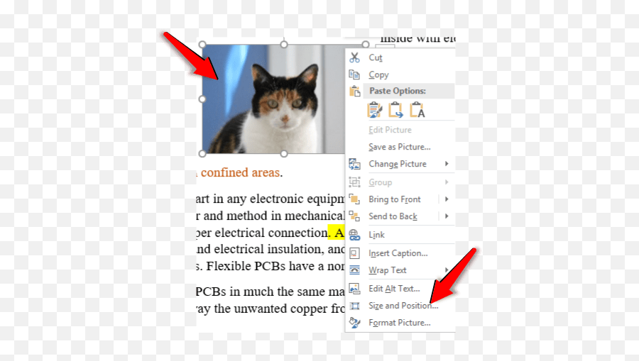 How To Resize An Image In Word - Officebeginner Photo Caption Png,Word Remove Paste Options Icon