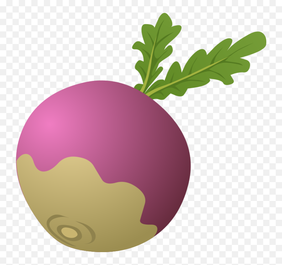 Turnip Clipart Png - Clip Art Library Turnip Cliparts,Beet Icon