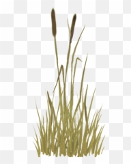 Media - Revision 4029 trunkassetsduralplantsgrass Grass png