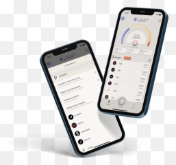 Polkawallet - Mobile for Polkadot ecosystem Dot png