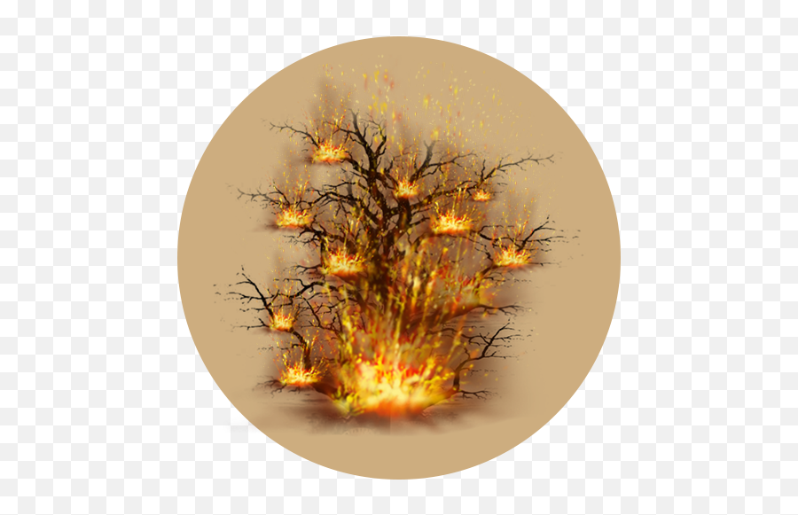 The Characters Of Christmas U2013 Week 1 Joseph Unsung - Burning Bush Png,Burning Bush Icon