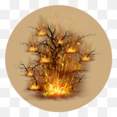 The Characters Of Christmas U2013 Week Joseph Unsung - Burning Bush Png