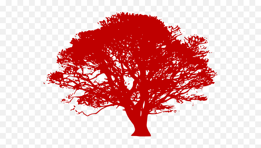 Download Red Tree Silhouette Png - Tree Black And White Vector,Red Tree Png