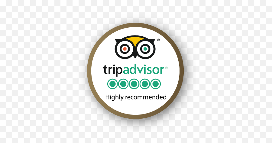 Testimonials - Boutique Tours Of Wales Private Tours Png,Tripadvisor Icon Transparent