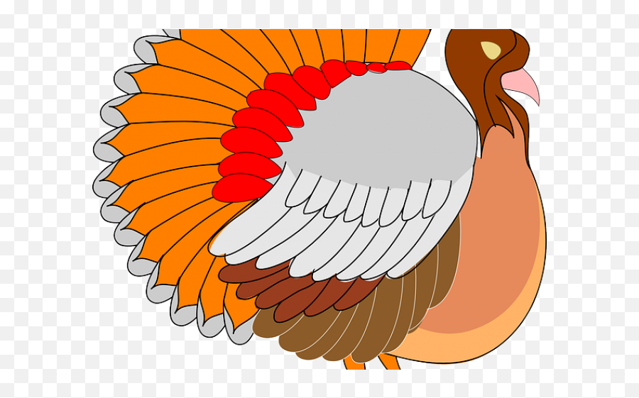 Turkey Bird Clipart Cornucopia - Turkey Clipart Png Thanksgiving Bike,Turkey Clipart Transparent Background