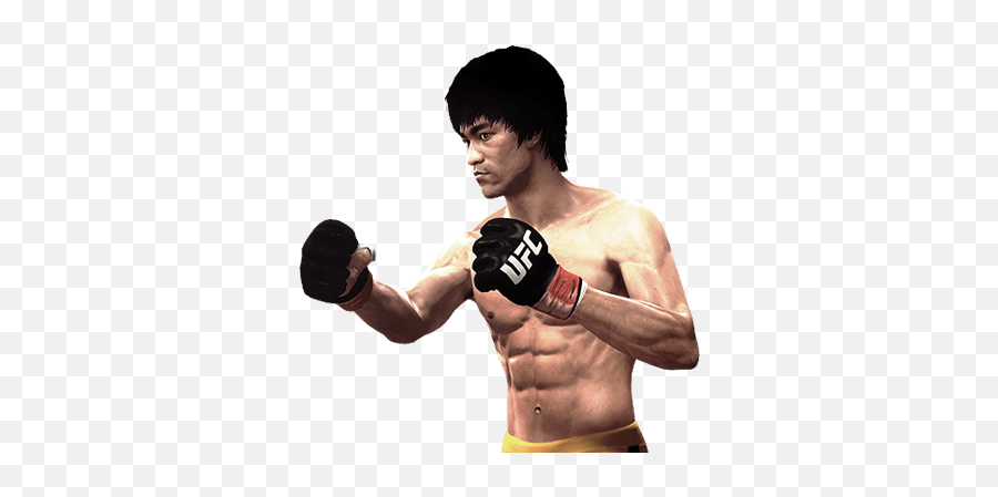 Ea Sports Ufc Transparent Images Png Arts - Bruce Lee Png,Ufc Png