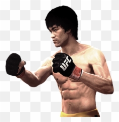 Ea Sports Ufc Transparent Images Png Arts - Bruce Lee Png,Ufc Png