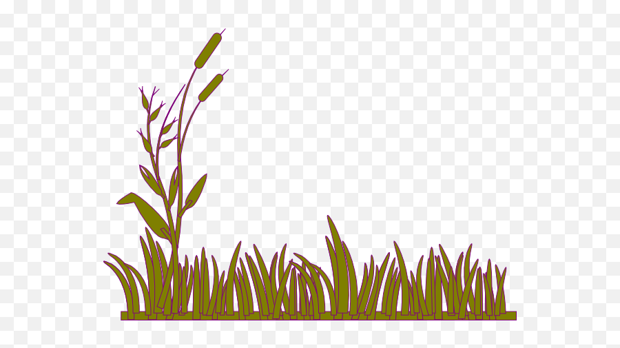 Library Of Violet Willow Clip Freeuse Stock Png Files - Transparent Background Grass Clipart,Weeping Willow Png