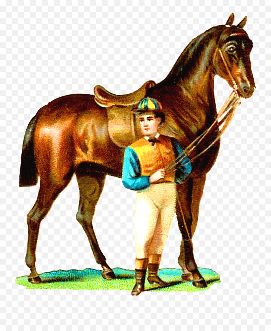 Horses Clipart Png 4 Image - Horse Racing,Horse Clipart Png