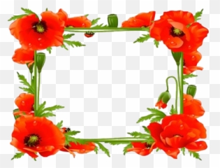Poppy Flower Frame Transparent Png - Poppy Frames For Facebook Profile,Poppy Png