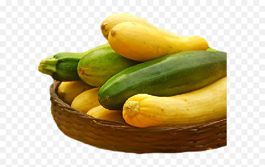 Organic Summer Squash Medley - Zucchini Png,Zucchini Png