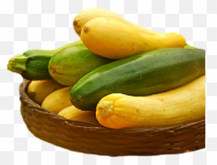Organic Summer Squash Medley - Zucchini Png,Zucchini Png