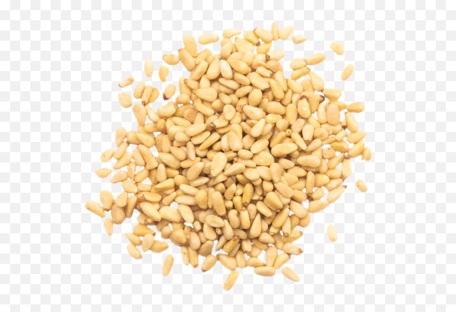 Pine Nuts Ateifi - Emmer Png,Nut Png