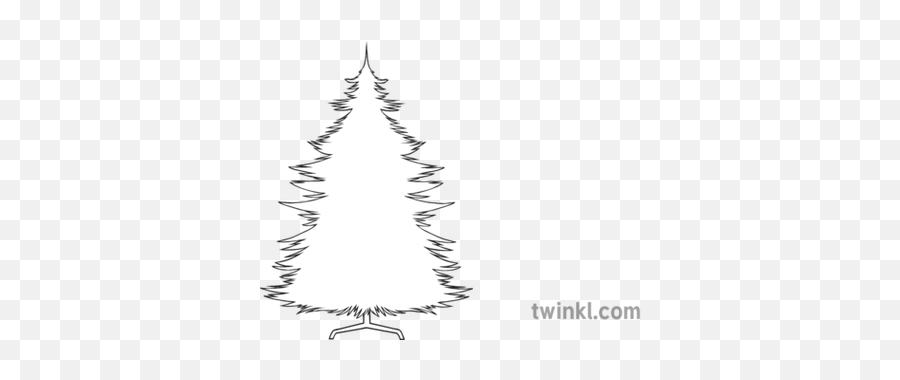 Christmas Tree Outline Black And White Illustration - Twinkl Sparrow Cartoon Images Drawing Png,Tree Outline Png