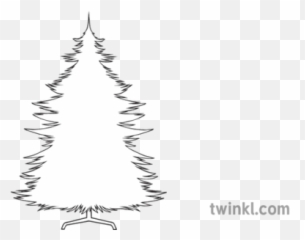 Christmas Tree Outline Black And White Illustration - Twinkl Sparrow Cartoon Images Drawing png