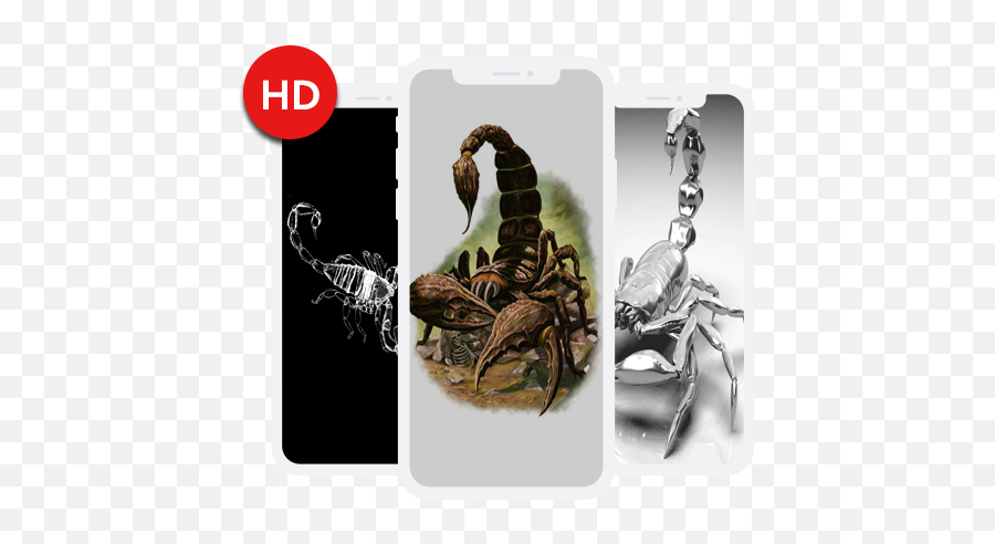 Scorpion Wallpapers Hd U2013 Aplicações No Google Play - Scorpion Png,Scorpion Transparent Background