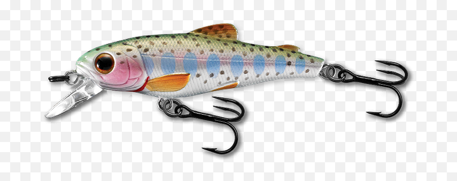 Rainbow Trout Png Image With No - Live Target Trout,Trout Png