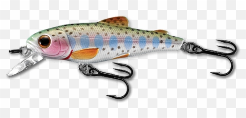 Rainbow Trout Png Image With No - Live Target Trout,Trout Png