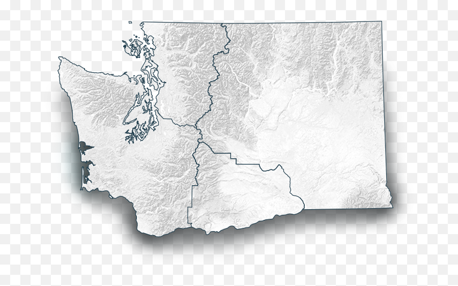 Cows Gotta Keep Their Cool - Washington State Elections 2020 Png,Washington State Png