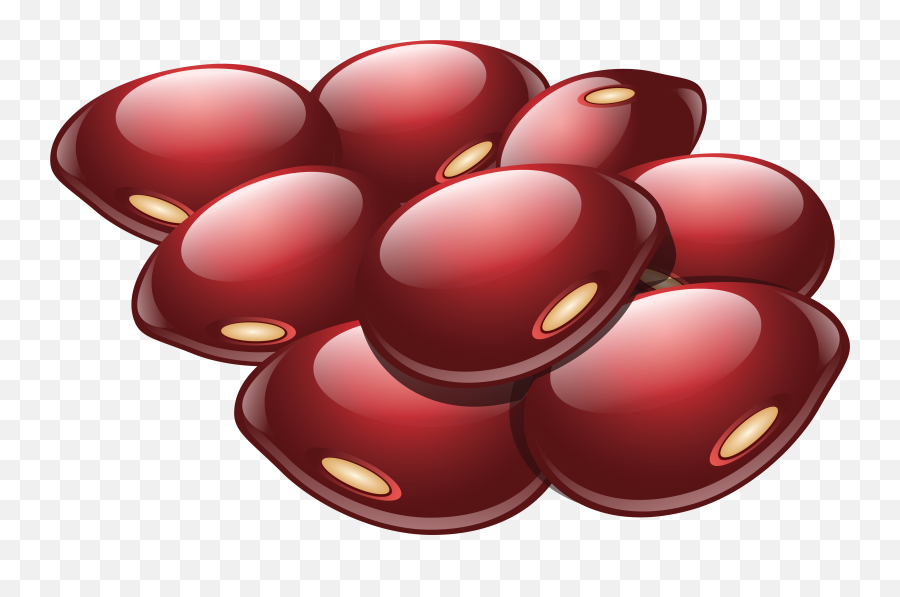 Kidney Beans Png - Kidney Beans Clipart Png,Kidney Png