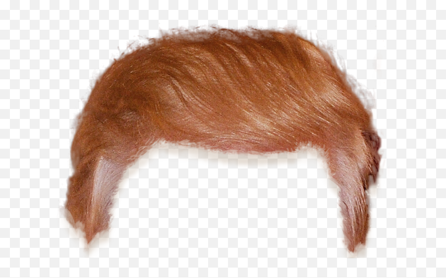 Png - Trump Hair Transparent,Trump Head Transparent Background