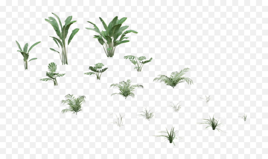 Tropical Plant Pack 3d - Models Vertical Png,Tropical Plant Png