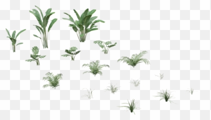 Tropical Plant Pack 3d - Models Vertical png