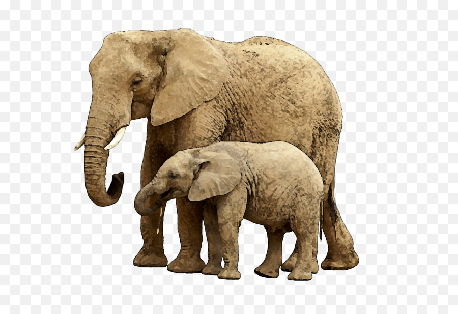 Download Baby Elephant Png Image With - Elephant And Baby Png,Elephant Transparent Background