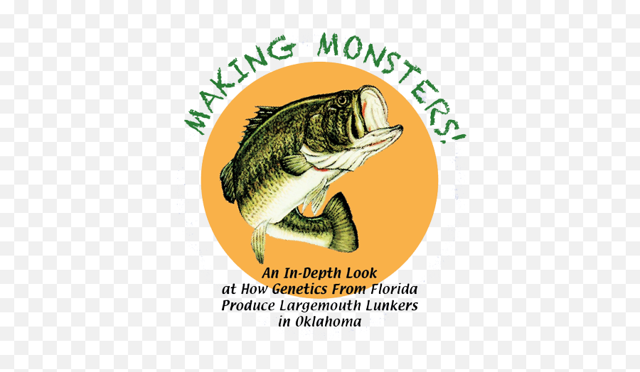 Making Monsters - Bass Png,Bass Fish Logo