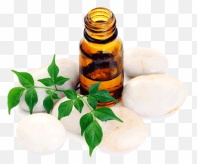 Download Aromatherapy Massage - Transparent Essential Oil Png,Massage Png