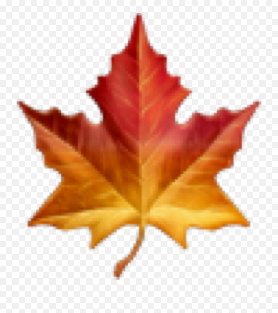 Fall Autumn Emoji Leaf Sticker By Thank U - Maple Leaf Emoji Transparent Png,Leaf Emoji Png