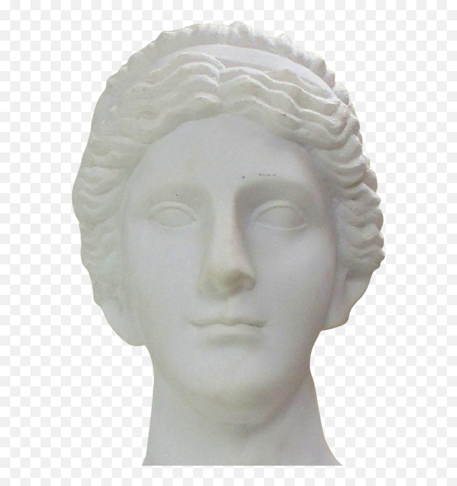 Download Hand Carved Carrara Marble Bust Of A Greek Style - Transparent Greek Bust Png,Greek Bust Png