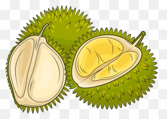 Durian Cliparts Download Free Clip Art - Durian Clipart Png,Durian Png