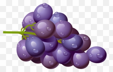 Clip Art Free Clipart Of Fruits Apple - Grape Clipart Transparent Png,Fruit Clipart Png