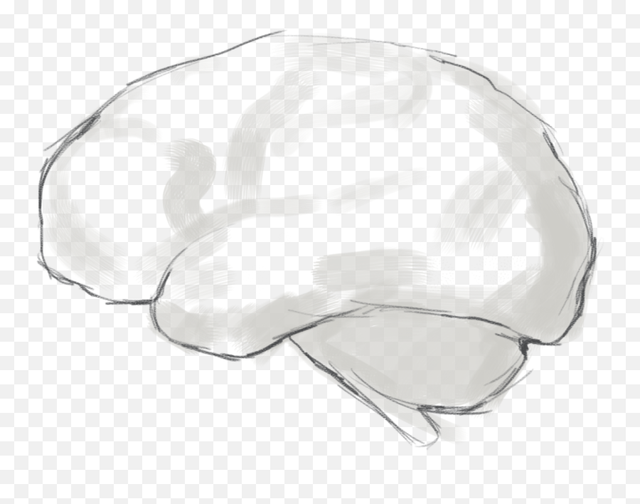 Thinking Partner Playbook - Sketch Png,Mindset Icon