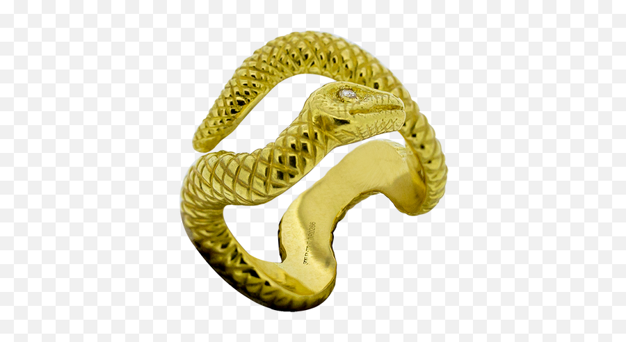 Alpha Snake Ring - Solid Png,Serpent Icon