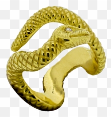 Alpha Snake Ring - Solid png