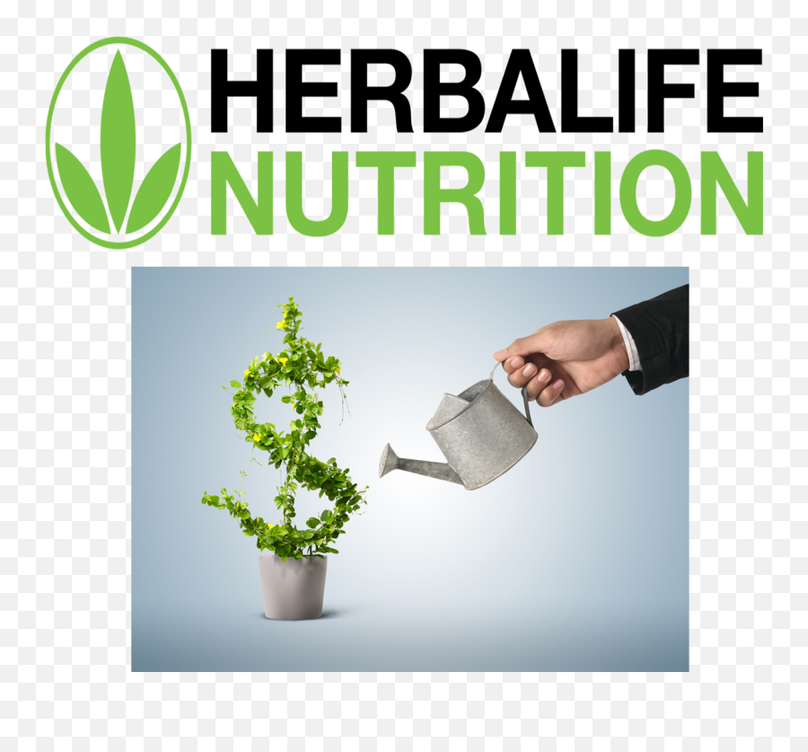 Trade Barter Natebartercom - Houseplant Png,Herbalife Nutrition Logo