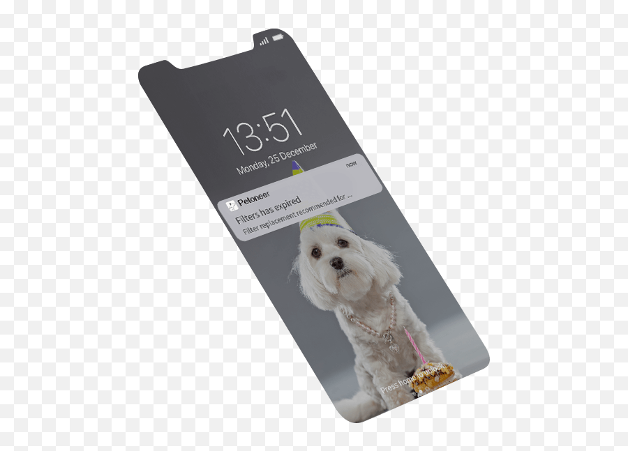 Fountain Pro - Companion Dog Png,Transparent Dog Filter