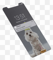 Fountain Pro - Companion Dog png