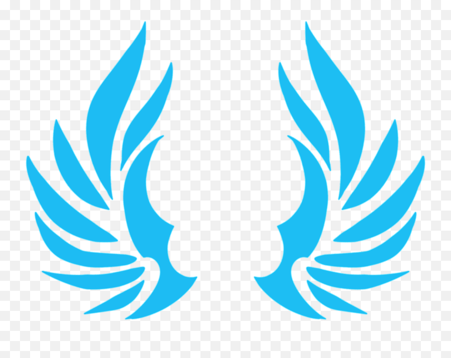 Pilot Services U2014 Sky Rocket Aviation - Blue Wing Logo Design Png,Pilot Wings Png