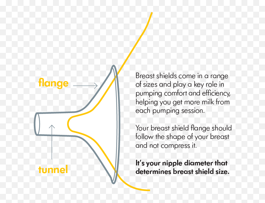 Why Your Choice Of Breast Shield Is Key To Successful - Diagram Png,Nipples Png